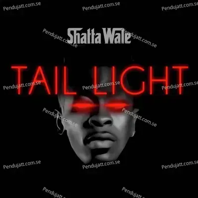 Tail Light - Shatta Wale album cover 