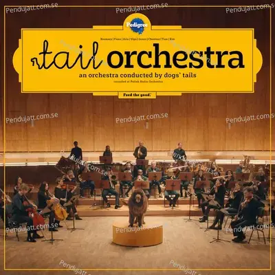 Tail Orchestra - Symphony No  1  I   Quot Toothbrush - Pedigree® Tail Orchestra album cover 