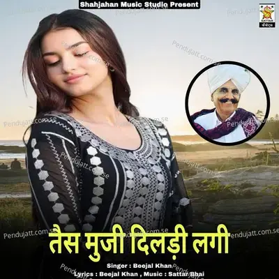 Tais Muji Dildi Lagi - Beejal Khan album cover 