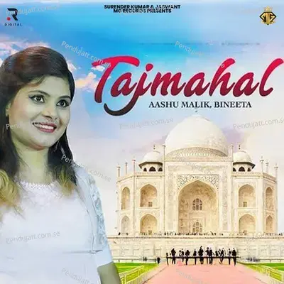 Taj Mahal - Vinu Gaur album cover 