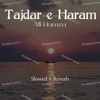 Tajdar-E-Haram Lofi - Ali Hamza album cover 