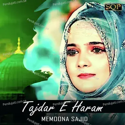 Tajdar E Haram mp3 song