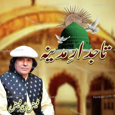 Tajdar E Madina - Faiz Ali Faiz album cover 