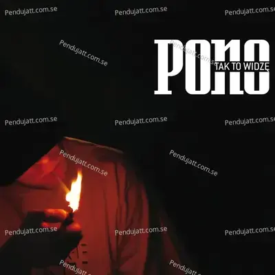 Historia Jednego Bucha - Pono album cover 