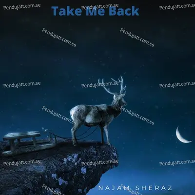 Take Me Back - Najam Sheraz album cover 