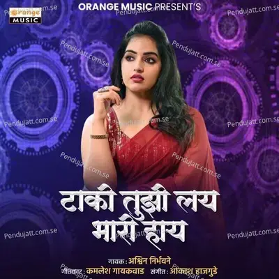 Taki Tujhi Lay Bhari Hay - Ashwin Nirbhavane album cover 