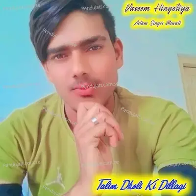 Talim Dholi Ki Dillagi - Vaseem Hingotiya album cover 