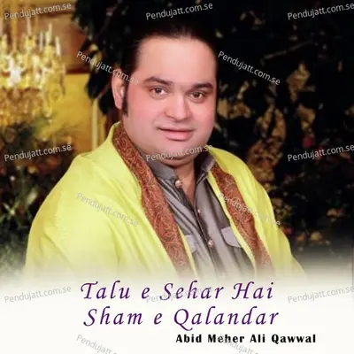 Sanson Ki Mala - Abid Meher Ali Qawwal album cover 