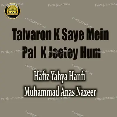 Talvaron K Saye Mein Palk K Jeetey Hum - Hafiz Yahya Hanfi album cover 