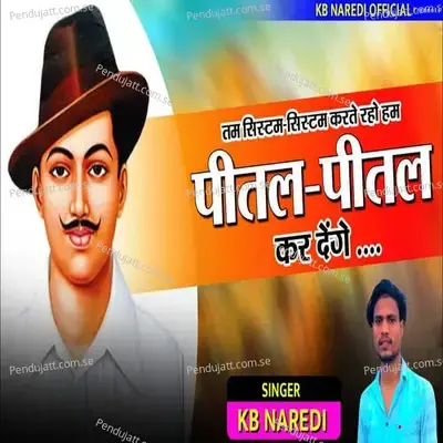 Tam Systam Systam Karte Rho Hum Pital Pital Bhar Denge - KB Naredi