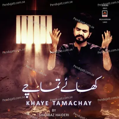 Tamachay Khaye - Shahbaz Haideri album cover 