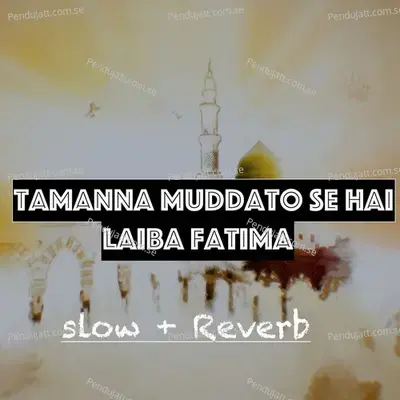 Tamanna Muddato Se Hai - Laiba Fatima album cover 
