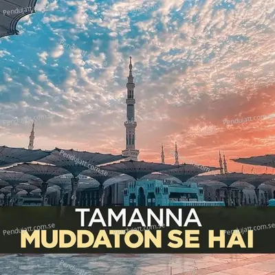 Tamanna Muddaton Se Hai - Syed Hassan Ullah Hussani album cover 