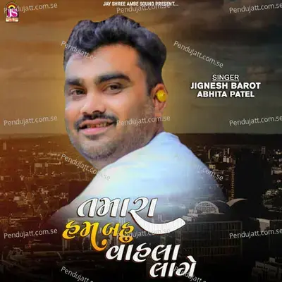 Tamara Hum Bahu Vahala Lage - Jignesh Barot album cover 