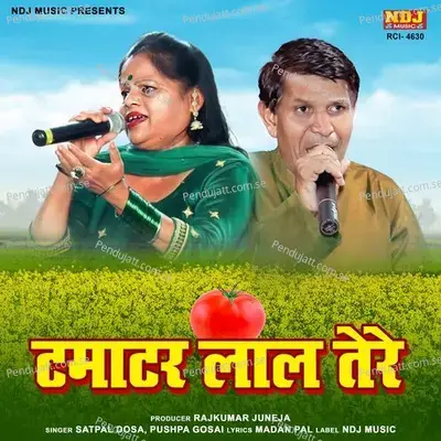 Tamatar Lal Tere - Satpal Dosa album cover 