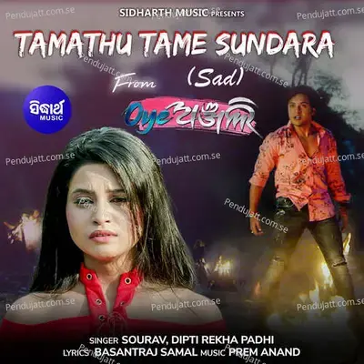 Tamathu Tame Sundara Sad - Sourav album cover 