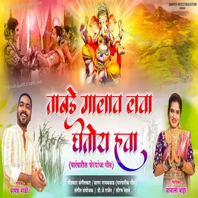 Tambade Malav Lava Getay Hava - Parmesh Mali album cover 