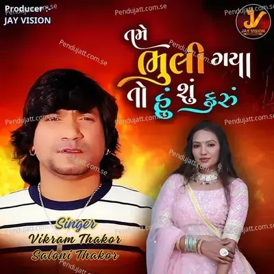 Tame Bhuli Gaya To Hu Su Karu - Vikram Thakor album cover 