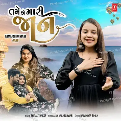 Tame Chho Mari Jaan - Shital Thakor album cover 