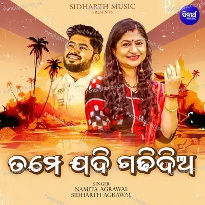 Tame Jadi Gadhi Dia - Namita Agrawal album cover 