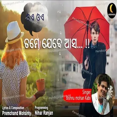 Tame Jebe Aasa - Bishnu Mohan Kabi album cover 