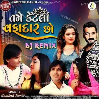 Tame Ketla Vafadar Chho-Dj Remix - Kamlesh Barot album cover 
