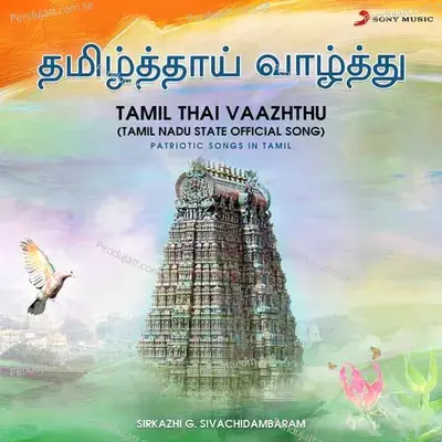 Raghupati Raghav Raja Ram - Dr. Sirkali G. Siva Chidambaram album cover 