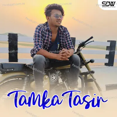 Tamka Tasir - Stephan Tudu album cover 