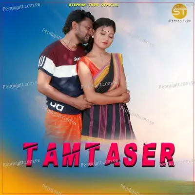 Tamtaser - Stephan Tudu album cover 