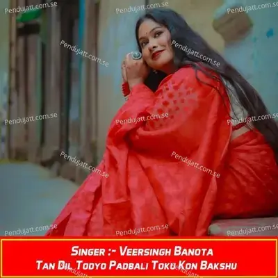 Tan Dil Todyo Padbali Toku Kon Bakshu - Veersingh Banota album cover 