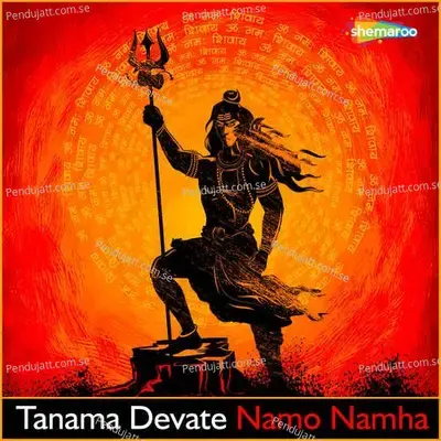 Mandira - Vid Narayan album cover 