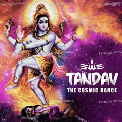 Om Namah Shivay - DJ Ziva album cover 