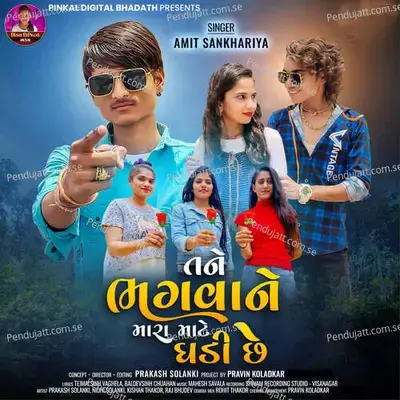 Tane Bhagwane Mara Mate Ghadi Se - Amit Sankhariya album cover 