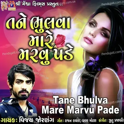 Tane Bhulva Mare Marvu Pade - Vijay Jornang album cover 