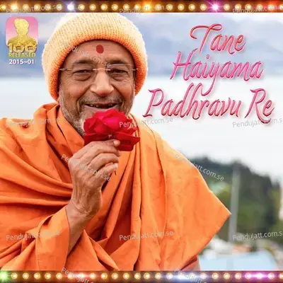 Tane Haiyama Padhravu Re - Divyang Ray album cover 