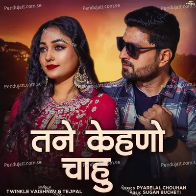 Tane Kehno Chahu - Twinkal Vaishnav album cover 