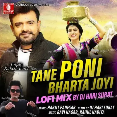 Tane Poni Bharta Joyi Lofi Mix - Rakesh Barot album cover 