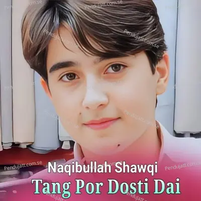 Tang Por Dosti Dai - Naqibullah Shawqi cover album