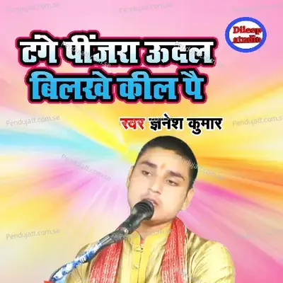 Tange Pinjara Udal Bilkhe Keel Pe - Gyanesh Kumar album cover 