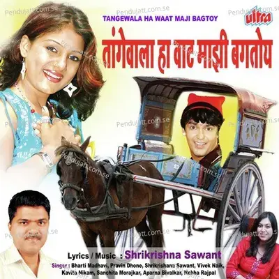 Swati Yeshil Ka Firayala Maja Sangati - Vivek Naik album cover 