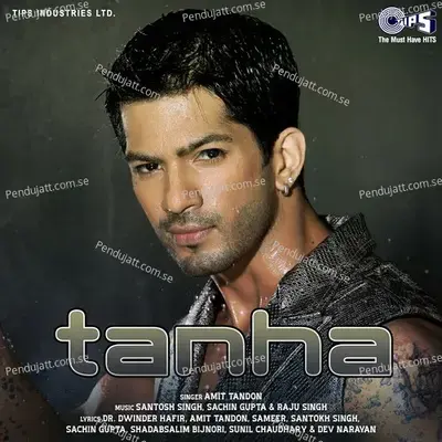 Tanha - Amit Tandon album cover 