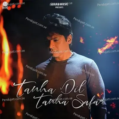 Tanha Dil Tanha Safar - Shaan album cover 