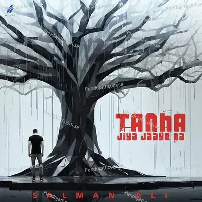 Tanha Jiya Jaaye Na - Salman Ali album cover 