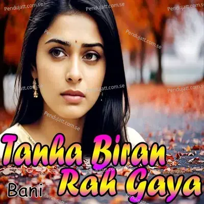 Tanha Our Biran Rah Gaya - Bani album cover 