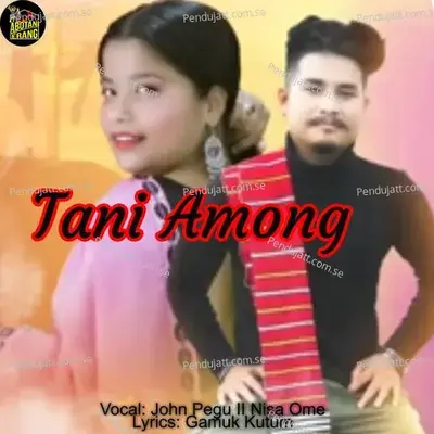 Tani Among - John Pegu album cover 