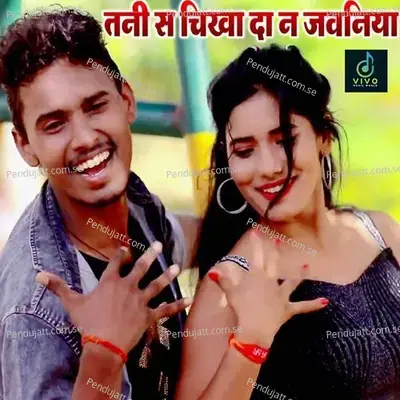 Tani S Chikha Da N Jawniya - Vishal Singh album cover 