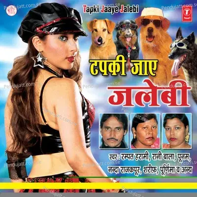 Chalaayo Gaadi Dheere O Driver Raja - Rampat Harami album cover 