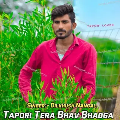 Tapori Tera Bhav Bhadga - Dilkhush Nangal album cover 
