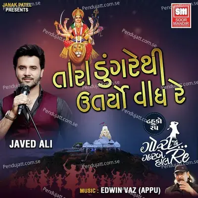 Tara Dungre Thi Utryo Wagh Re - Javed Ali album cover 