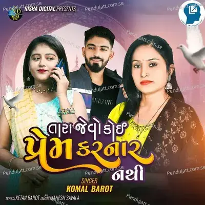 Tara Jevo Koi Prem Karnar Nathi - Komal Barot album cover 